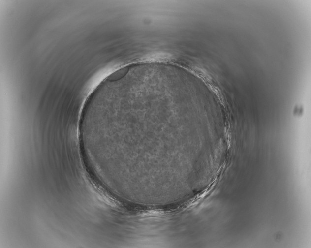 X0000094070196200711021518