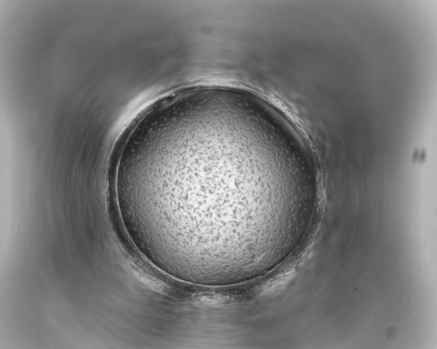 X0000094070199200711021518