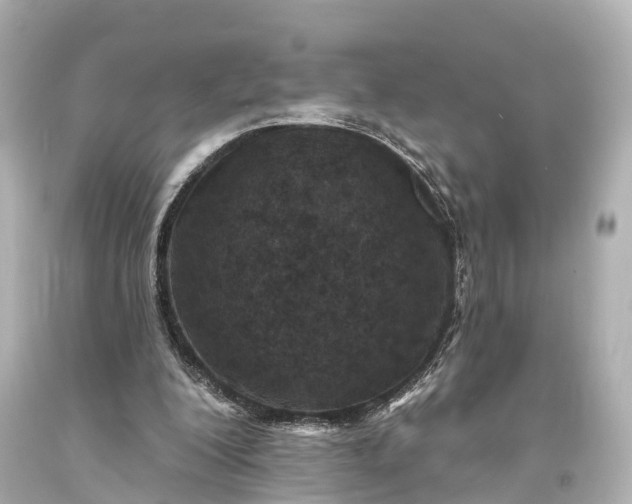 X0000094070200200711021518