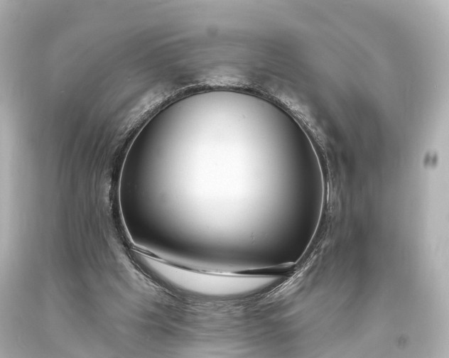 X0000094070201200711021518