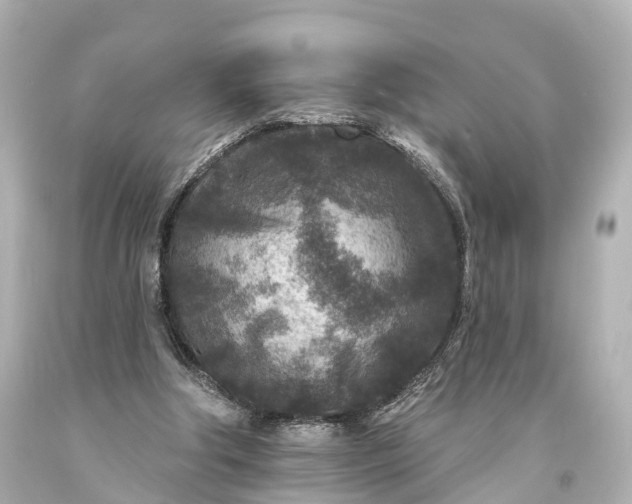 X0000094070202200711021518