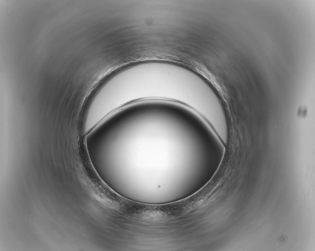X0000094070203200711021518