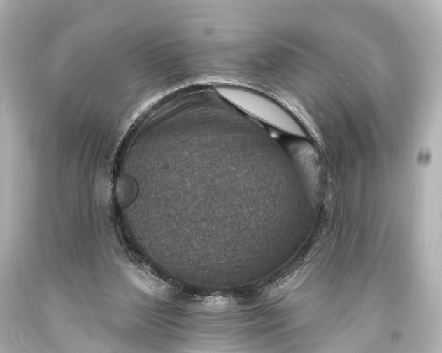 X0000094070204200711021518