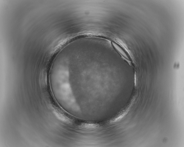X0000094070205200711021518