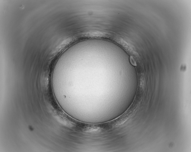 X0000094070206200711021518