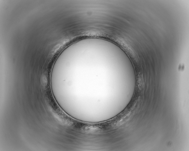 X0000094070208200711021517