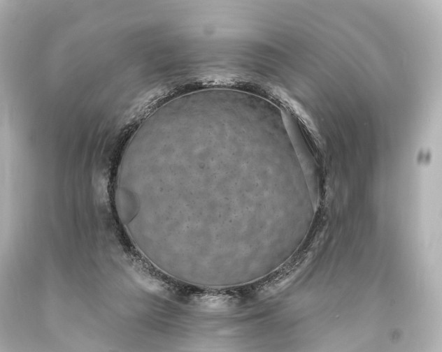 X0000094070209200711021517
