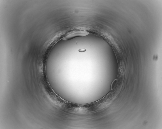 X0000094070212200711021517