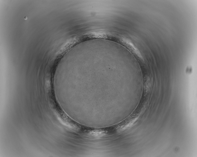 X0000094070213200711021517