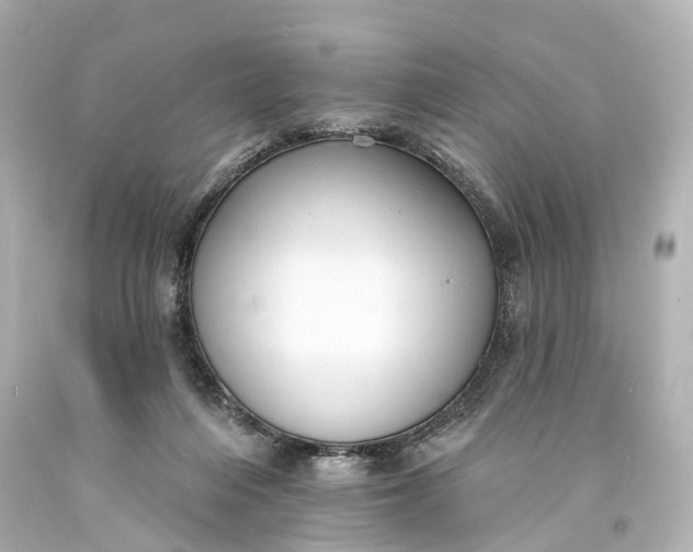 X0000094070216200711021517