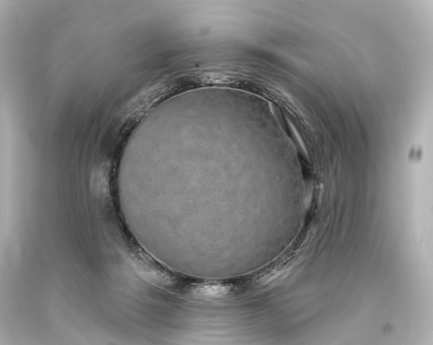 X0000094070217200711021517