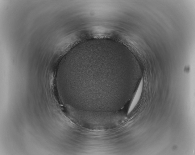 X0000094070219200711021517