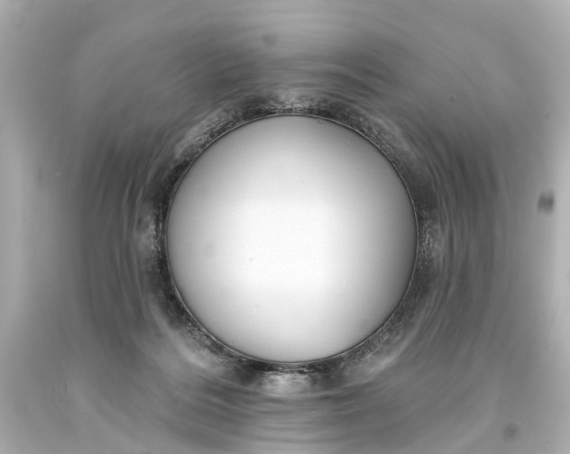 X0000094070220200711021517