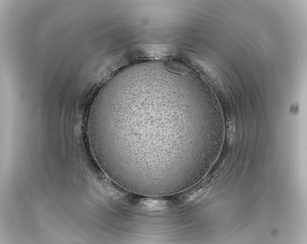 X0000094070221200711021517