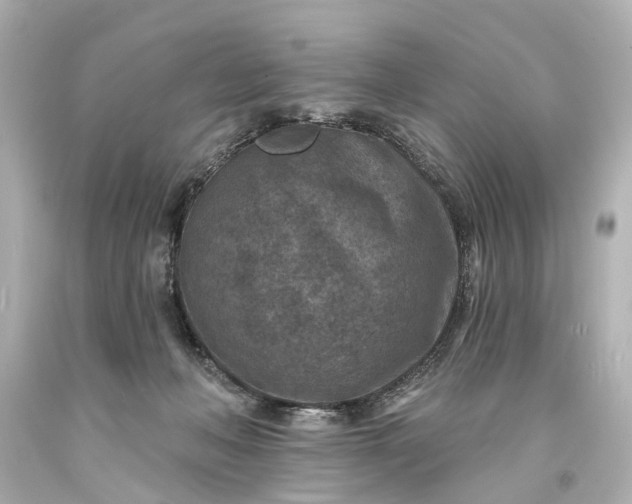 X0000094070222200711021517