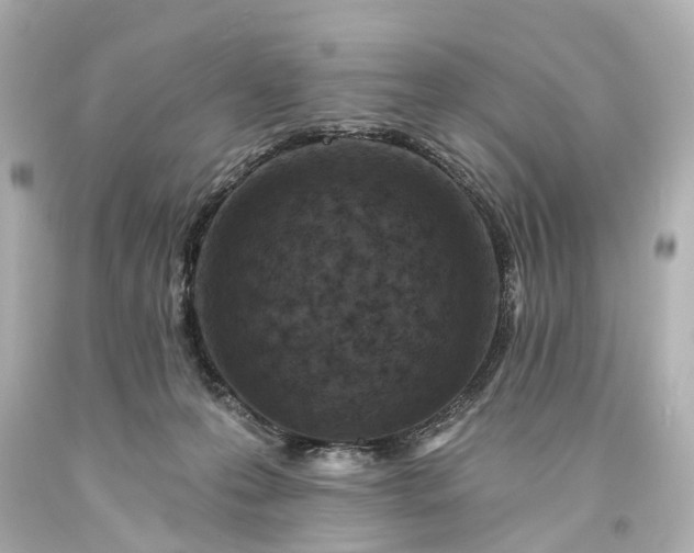 X0000094070223200711021517