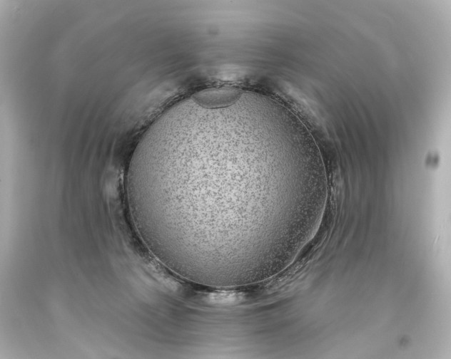X0000094070225200711021517
