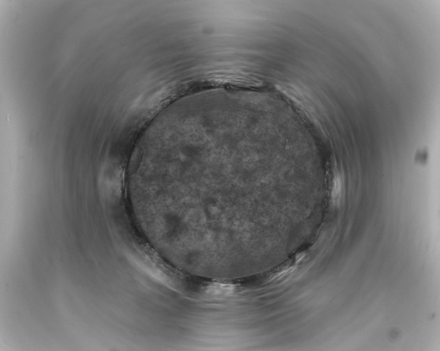 X0000094070227200711021517