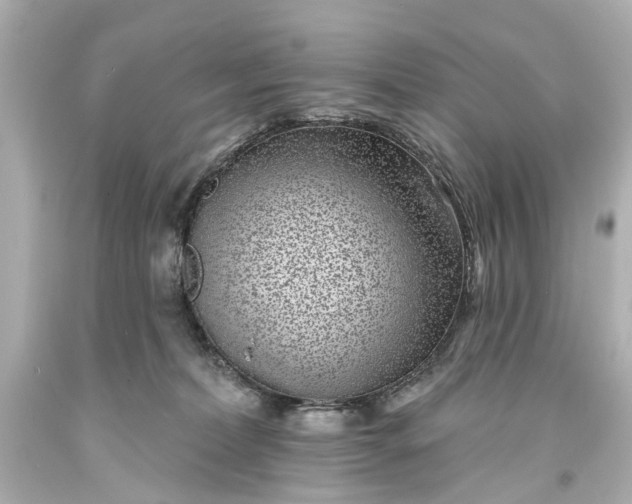 X0000094070228200711021517