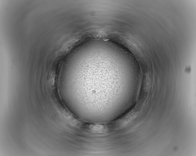 X0000094070230200711021517