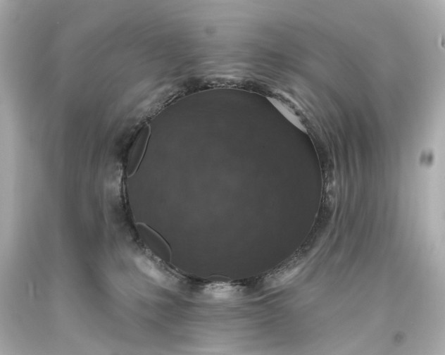 X0000094070231200711021517