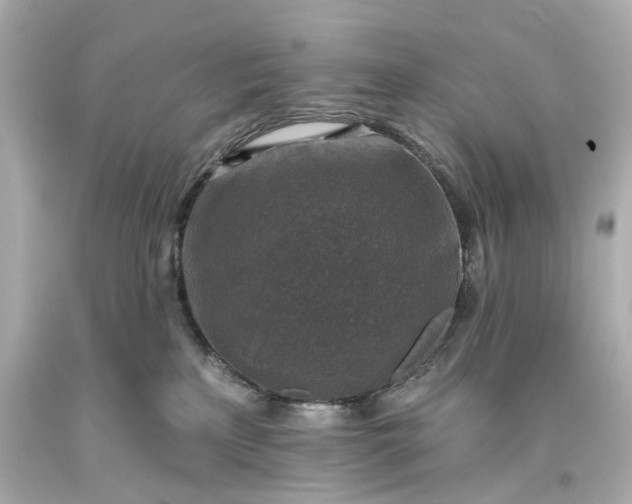 X0000094070233200711021517