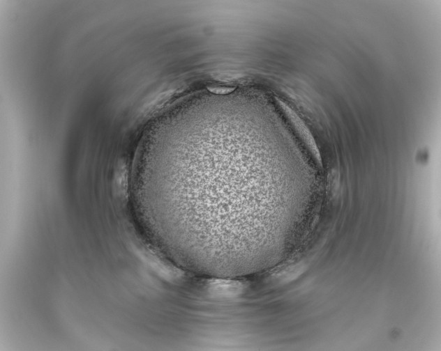 X0000094070234200711021517