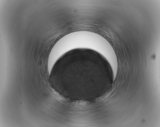 X0000094070235200711021517
