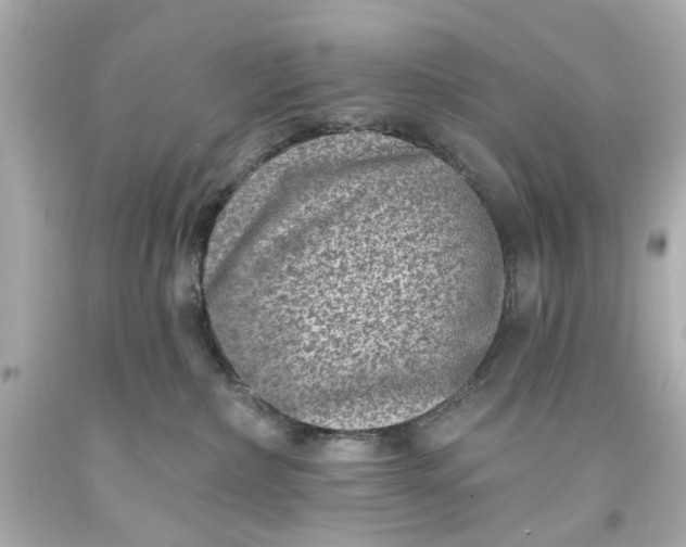 X0000094070236200711021517