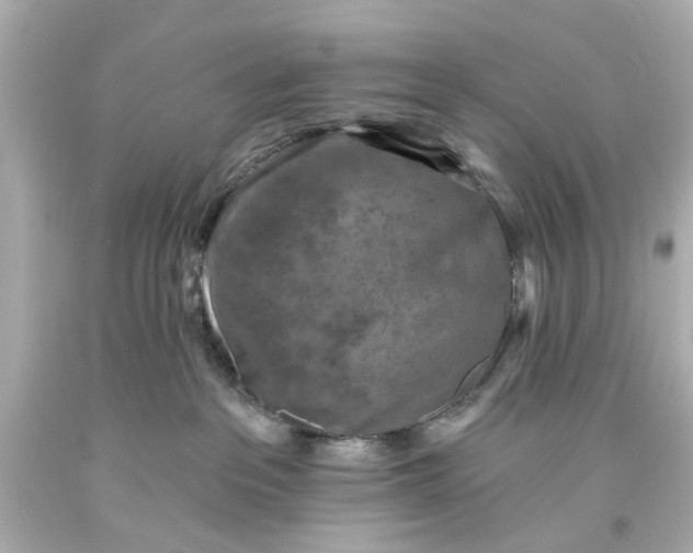 X0000094070237200711021517