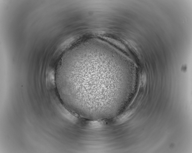 X0000094070238200711021517
