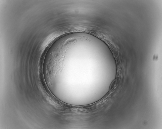 X0000094070242200711021516