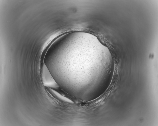 X0000094070244200711021516