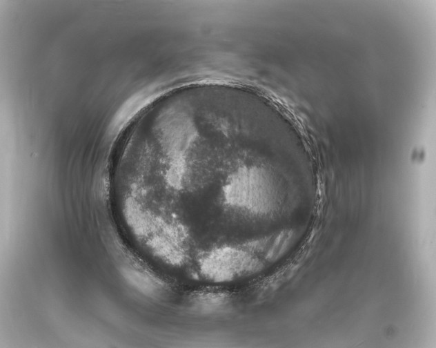 X0000094070247200711021516