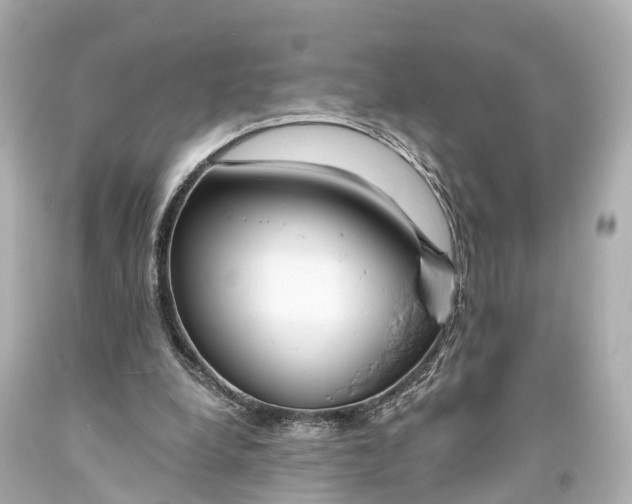 X0000094070248200711021516