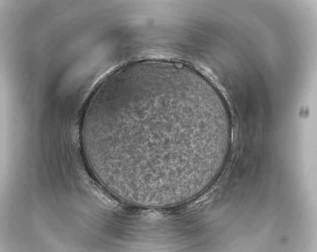X0000094070249200711021516
