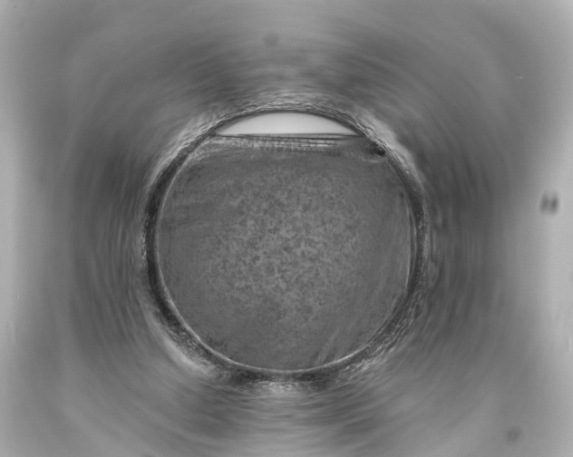 X0000094070250200711021516