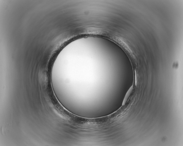 X0000094070252200711021517