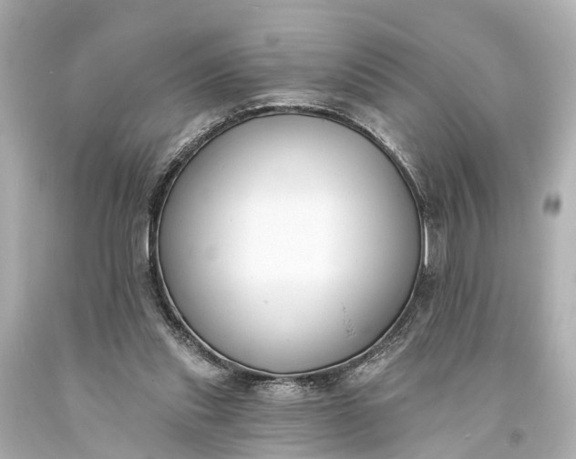 X0000094070253200711021517
