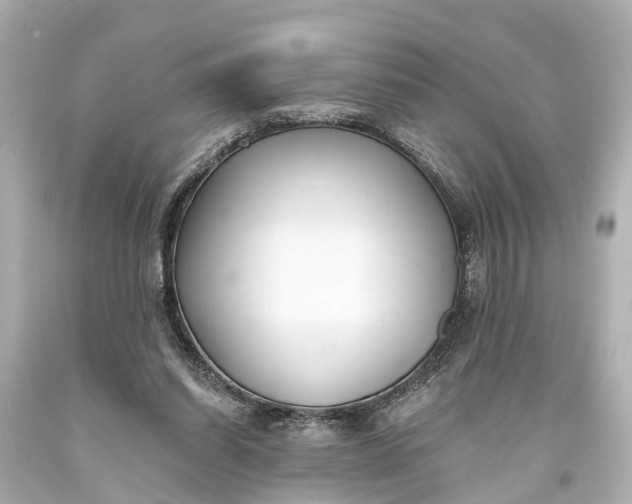 X0000094070254200711021517