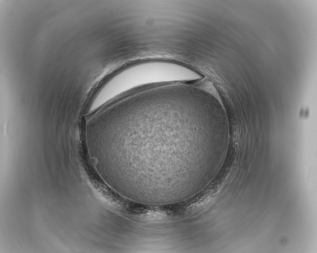 X0000094070256200711021517