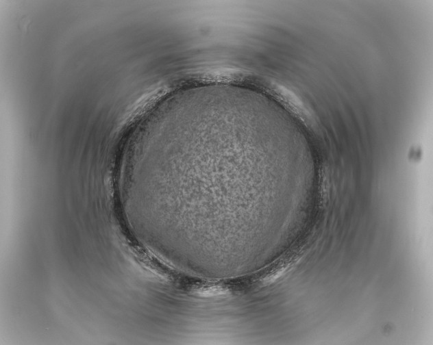 X0000094070258200711021517