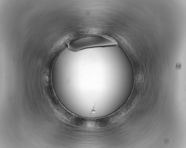 X0000094070264200711021517