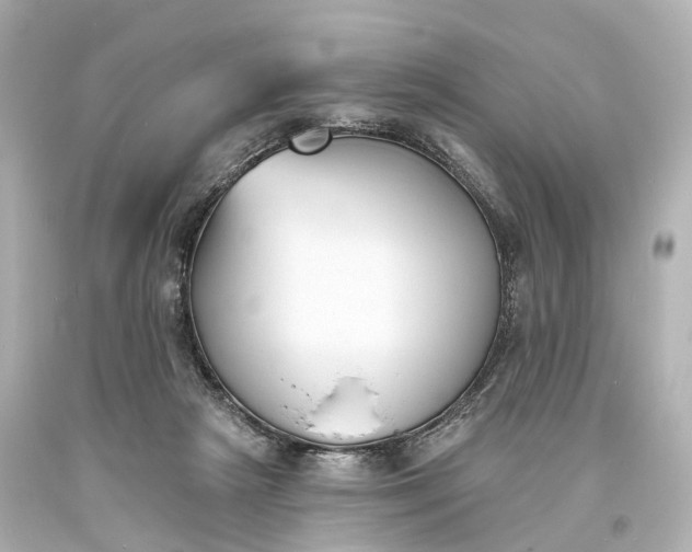 X0000094070265200711021517