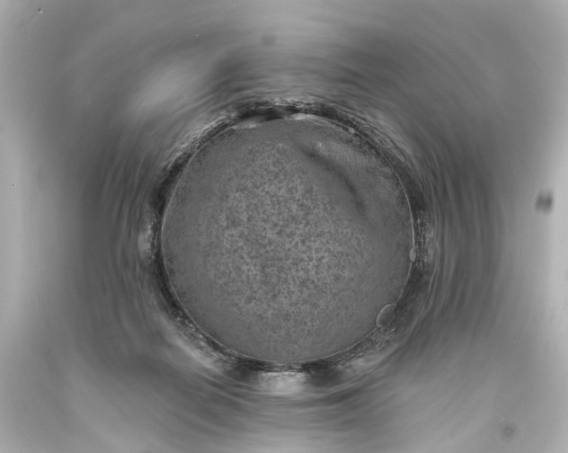 X0000094070266200711021517