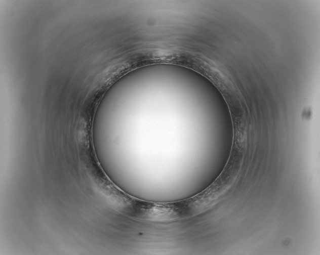 X0000094070270200711021517