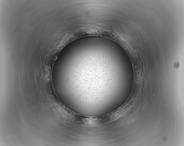 X0000094070273200711021517