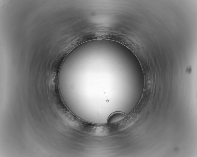 X0000094070275200711021517