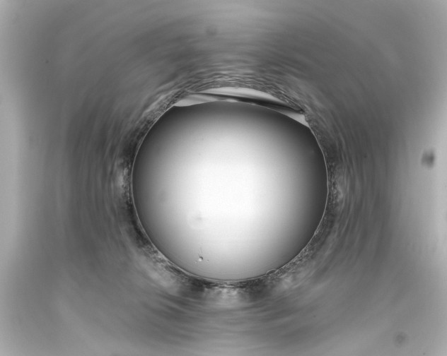 X0000094070276200711021517