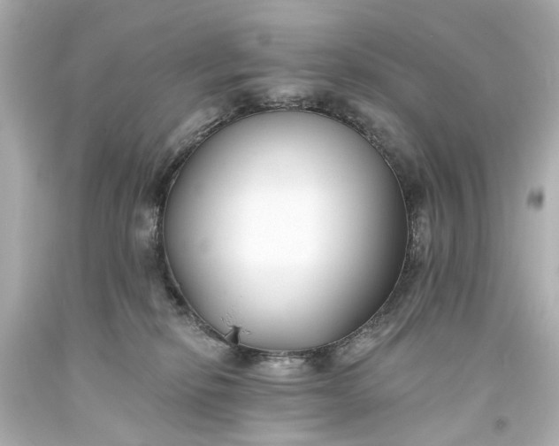 X0000094070278200711021517